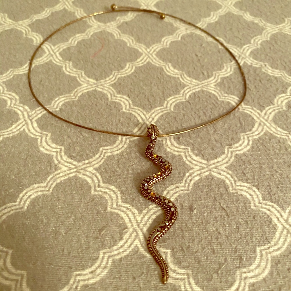 🌿 Silver Snake Choker